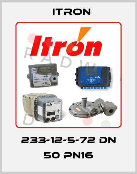 233-12-5-72 DN 50 PN16 Itron