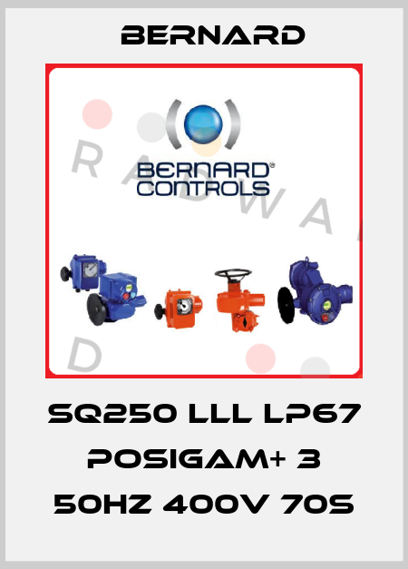 SQ250 lll lP67 POSIGAM+ 3 50Hz 400V 70s Bernard