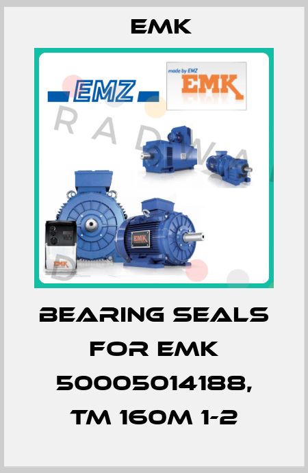 bearing seals for EMK 50005014188, TM 160M 1-2 EMK