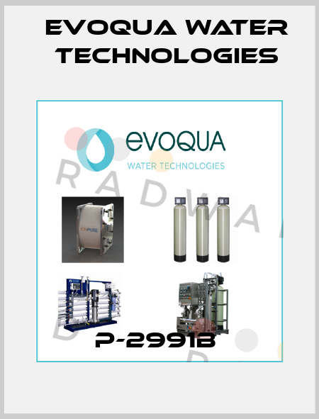 P-2991B  Evoqua Water Technologies
