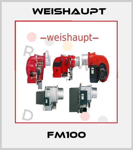 FM100 Weishaupt