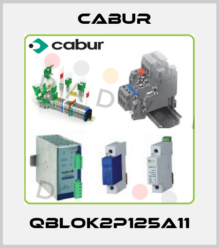 QBLOK2P125A11 Cabur