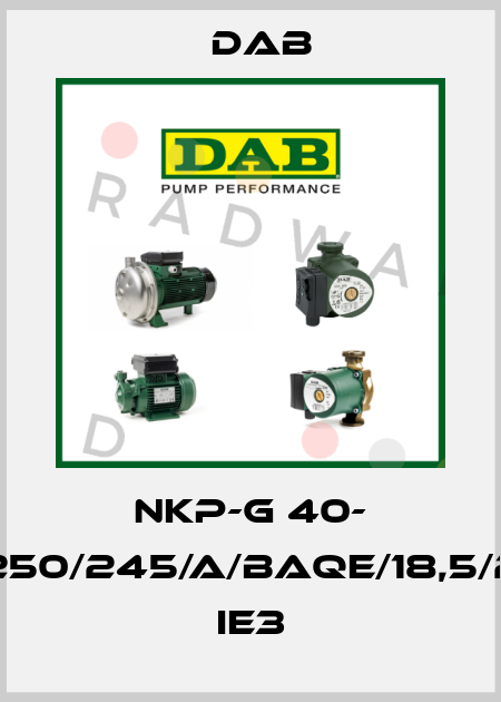 NKP-G 40- 250/245/A/BAQE/18,5/2 IE3 DAB
