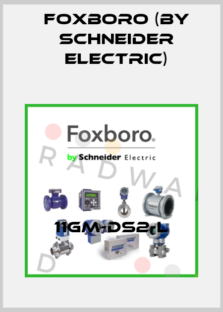 11GM-DS2-L Foxboro (by Schneider Electric)