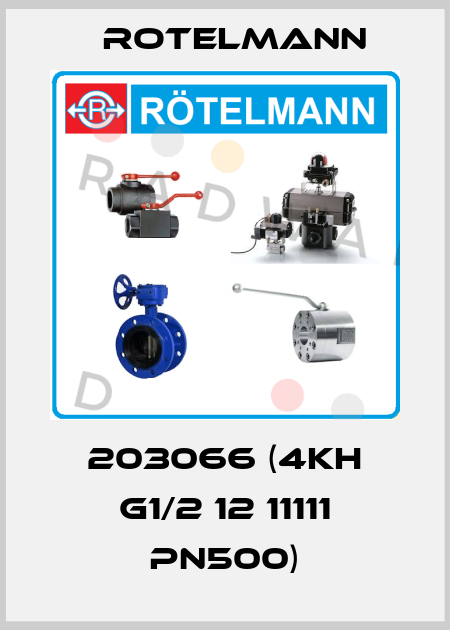 203066 (4KH G1/2 12 11111 PN500) Rotelmann