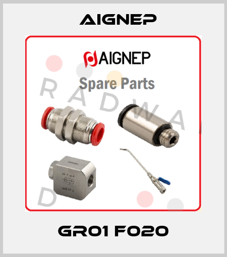 GR01 F020 Aignep