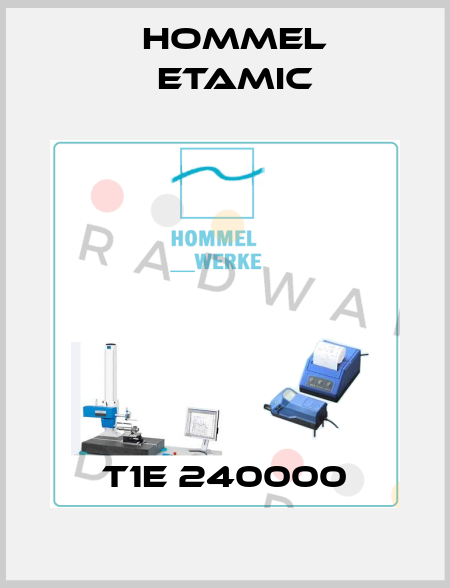 T1E 240000 Hommel Etamic