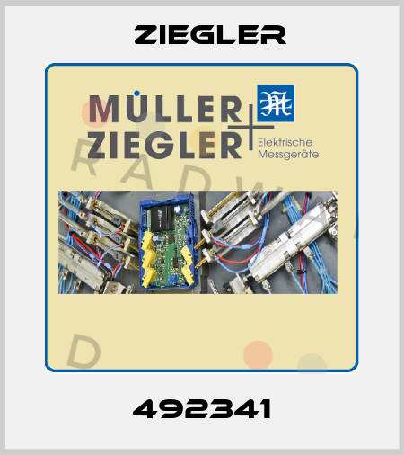 492341 Ziegler