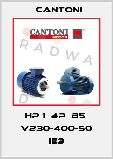 HP 1  4P  B5  V230-400-50 IE3 Cantoni