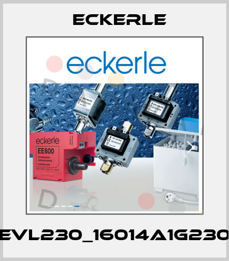 EVL230_16014A1G230 Eckerle