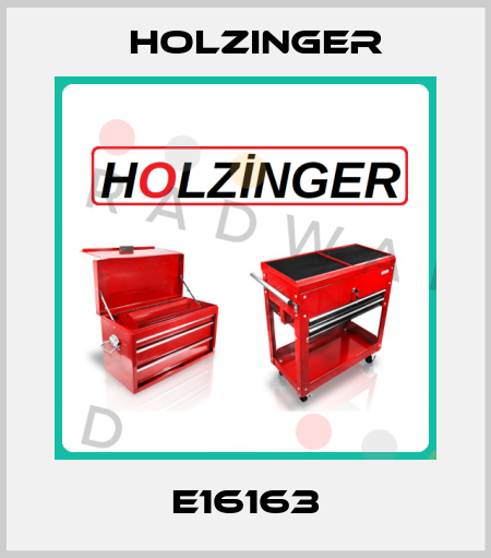 E16163 holzinger