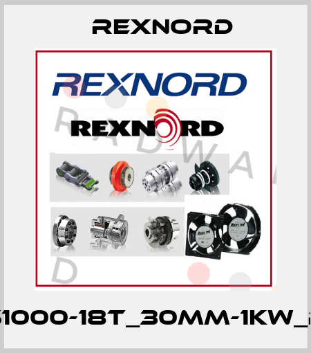 NS1000-18T_30MM-1KW_PA Rexnord