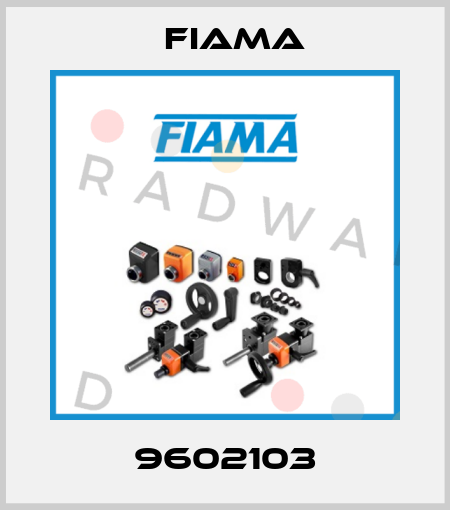 9602103 Fiama