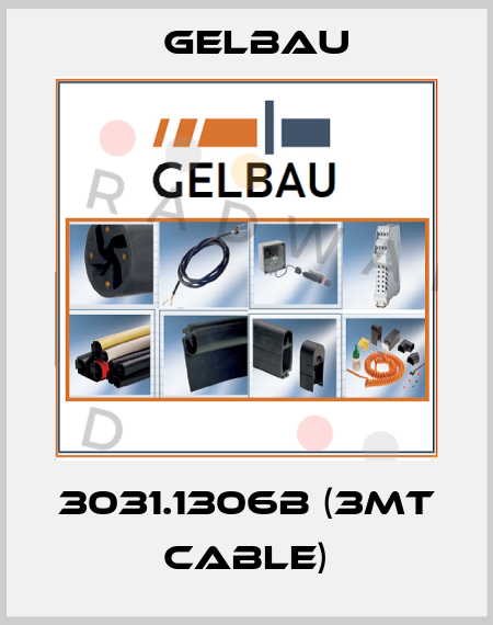 3031.1306B (3mt cable) Gelbau