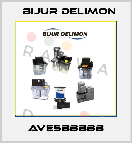 AVE5BBBBB Bijur Delimon