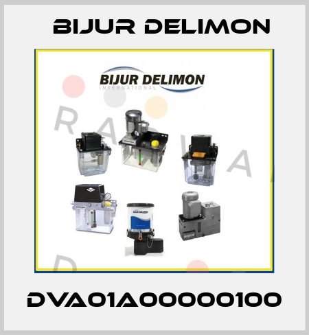 DVA01A00000100 Bijur Delimon
