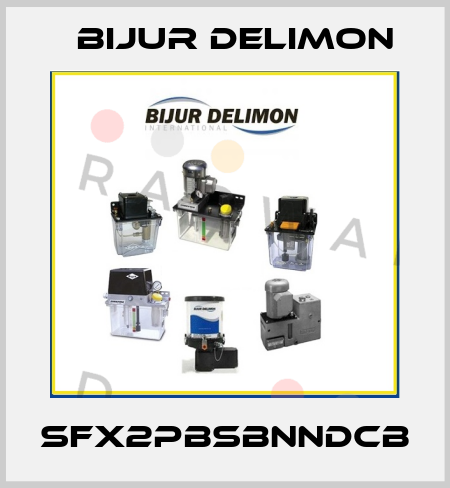 SFX2PBSBNNDCB Bijur Delimon