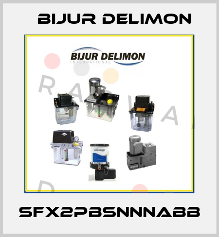 SFX2PBSNNNABB Bijur Delimon