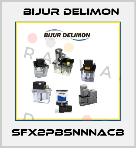 SFX2PBSNNNACB Bijur Delimon