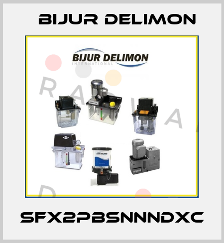 SFX2PBSNNNDXC Bijur Delimon