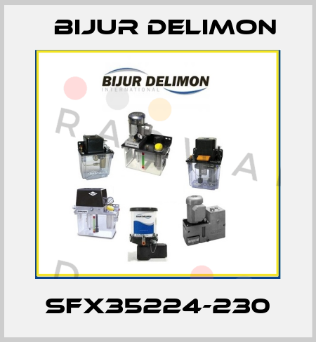 SFX35224-230 Bijur Delimon