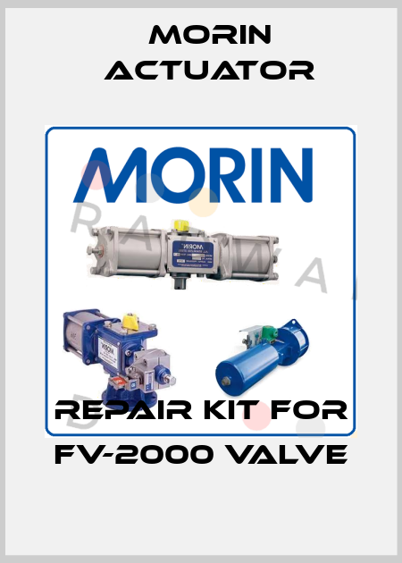 REPAIR KIT FOR FV-2000 VALVE Morin Actuator