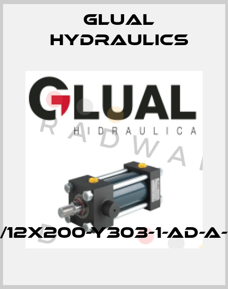 KI-25/12X200-Y303-1-AD-A-M-30 Glual Hydraulics