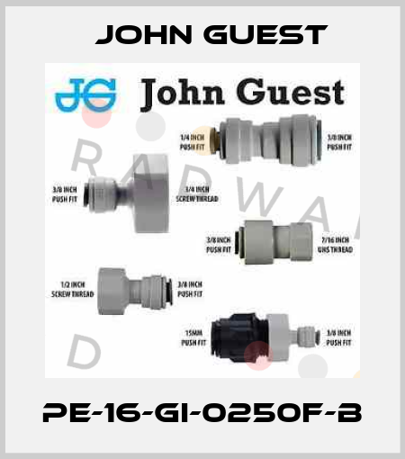PE-16-GI-0250F-B John Guest