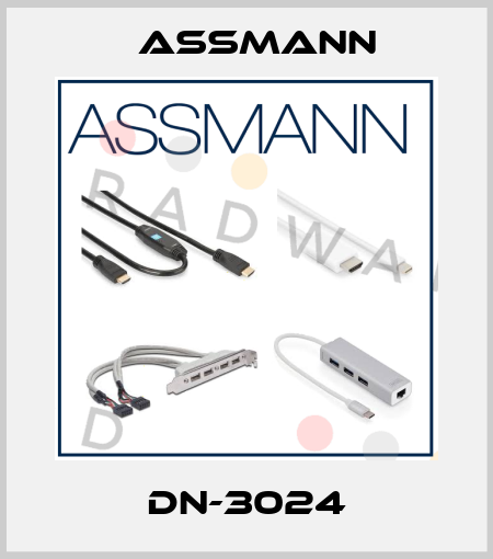 DN-3024 Assmann