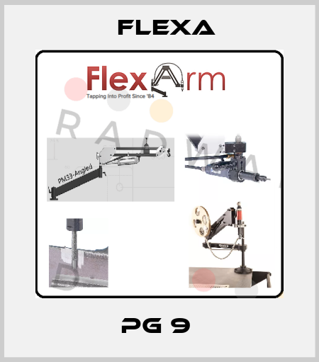 PG 9  Flexa