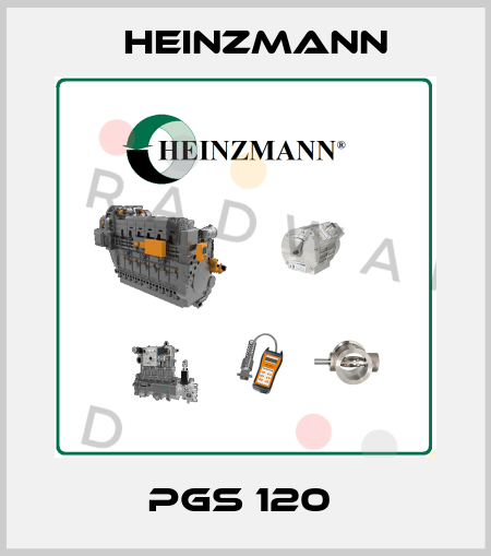 PGS 120  Heinzmann