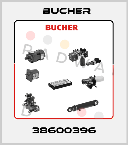 38600396 Bucher