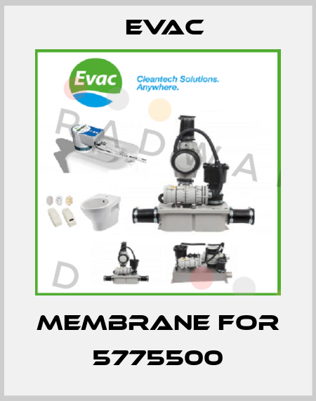 Membrane for 5775500 Evac