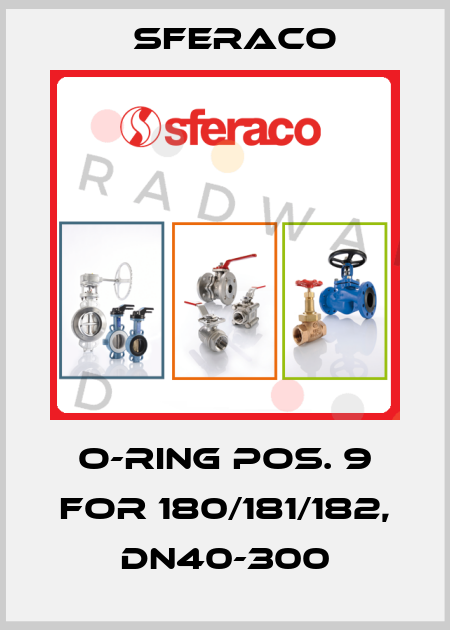 O-ring pos. 9 for 180/181/182, DN40-300 Sferaco
