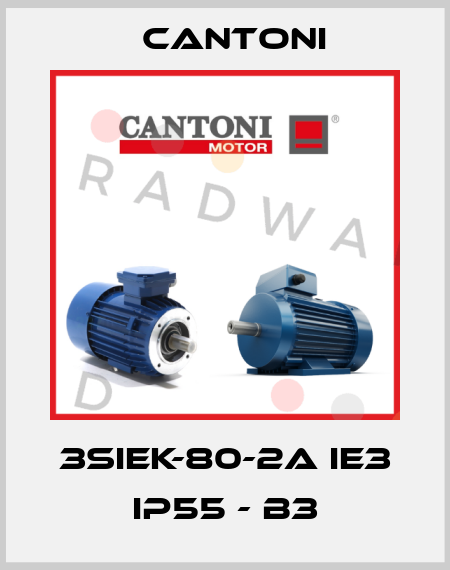 3SIEK-80-2A IE3 IP55 - B3 Cantoni