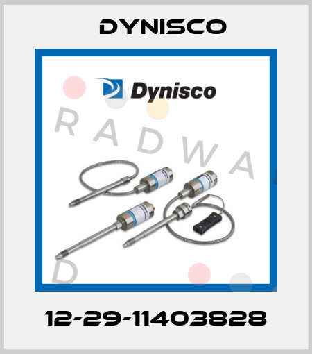 12-29-11403828 Dynisco