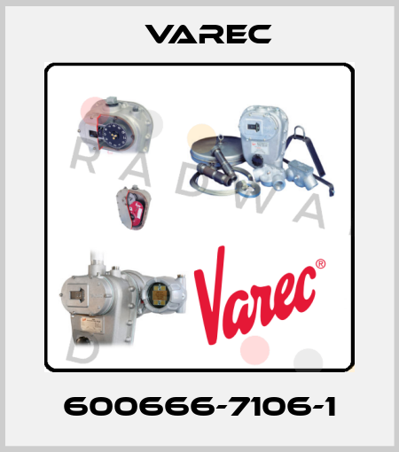 600666-7106-1 Varec