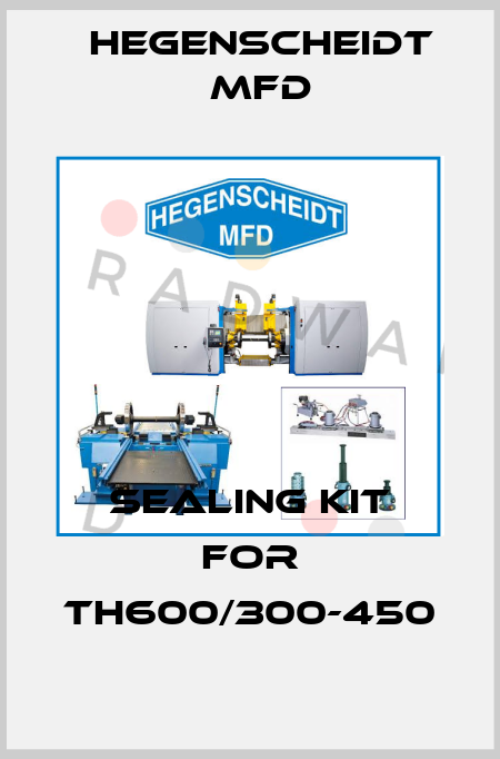 Sealing Kit for TH600/300-450 Hegenscheidt MFD