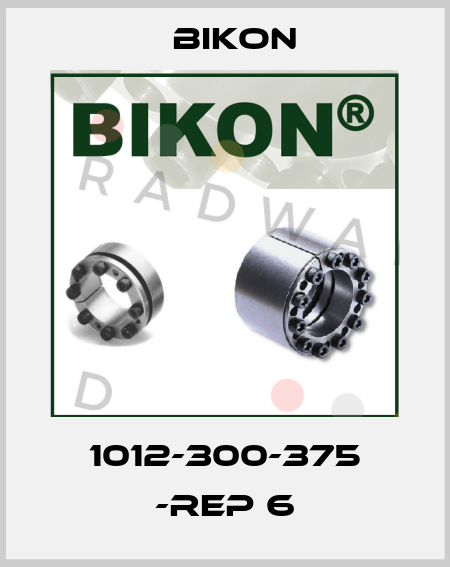 1012-300-375 -REP 6 Bikon