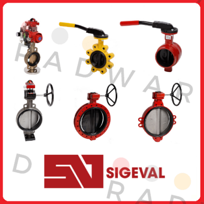 202573W012503 Sigeval