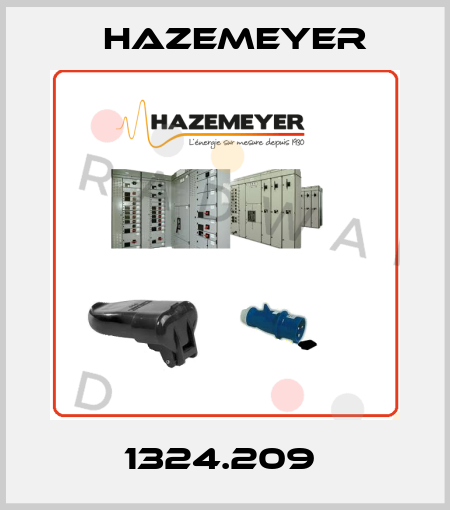 1324.209  Hazemeyer