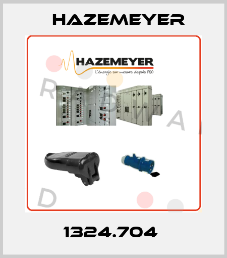 1324.704  Hazemeyer