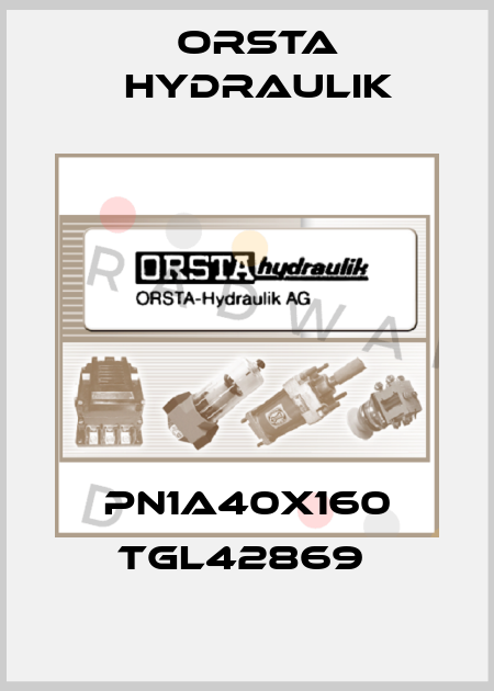 PN1A40X160 TGL42869  Orsta Hydraulik
