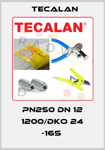 PN250 DN 12 1200/DKO 24 -16S  Tecalan