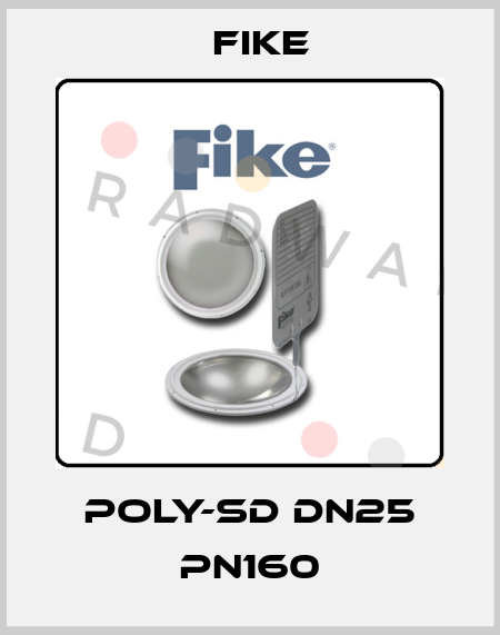POLY-SD DN25 PN160 FIKE