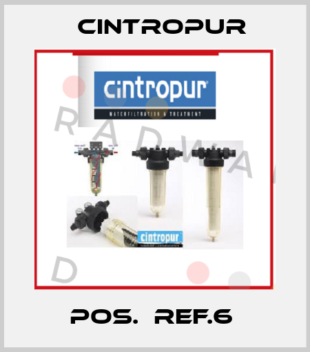 POS.  REF.6  Cintropur