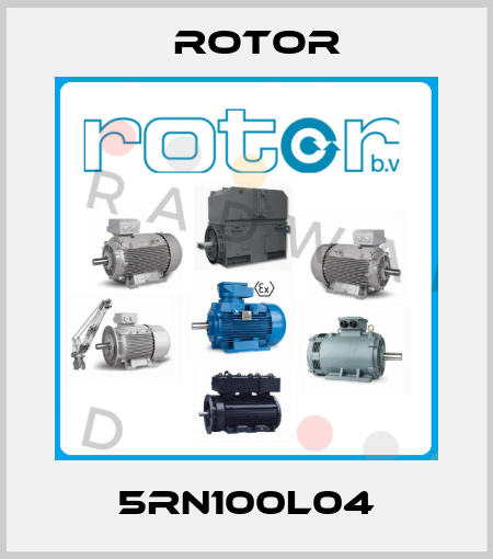 5RN100L04 Rotor