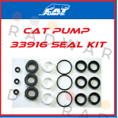 33916 Cat Pumps