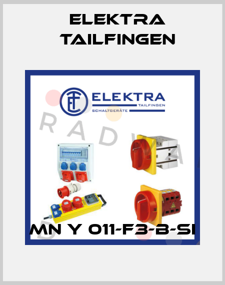 MN Y 011-F3-B-SI Elektra Tailfingen