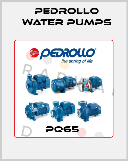 PQ65  Pedrollo Water Pumps